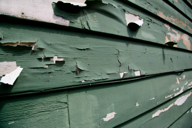 Best Demolition Debris Removal  in Grant, MI