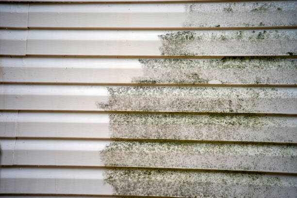 Moving and Downsizing Cleanouts in Grant, MI