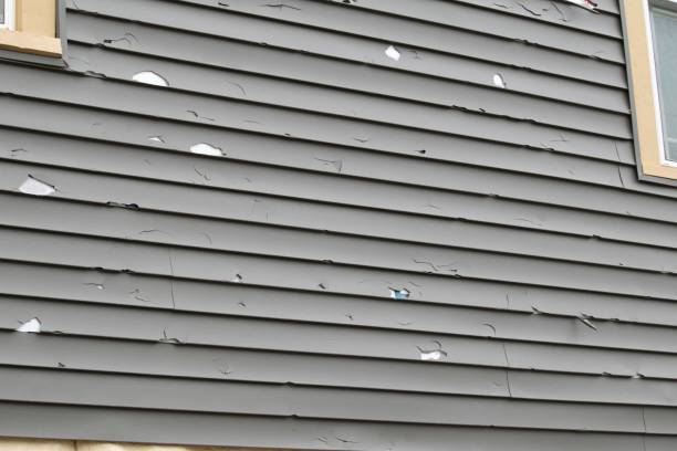 Best Same-Day Junk Removal Services  in Grant, MI